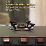 Jyoti 338 Crown burner and pan support